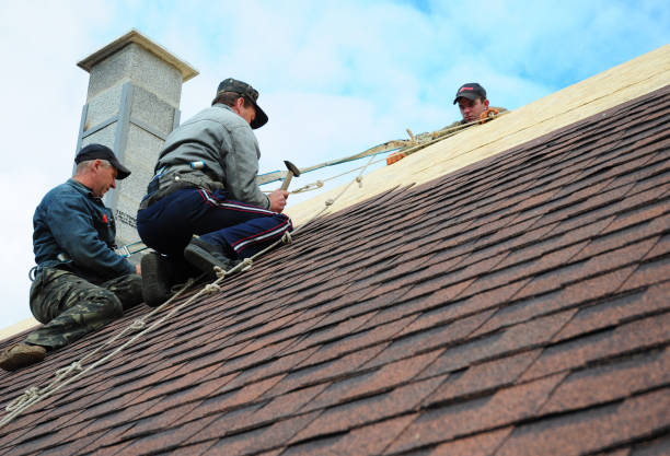 Best Tile Roofing Contractor  in Vega, TX
