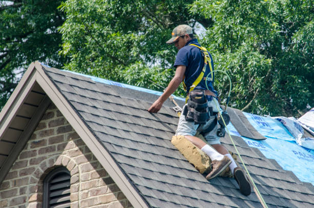 Best Shingle Roofing Installation  in Vega, TX